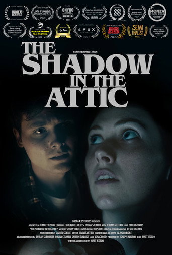 The Shadow in the Attic movie poster