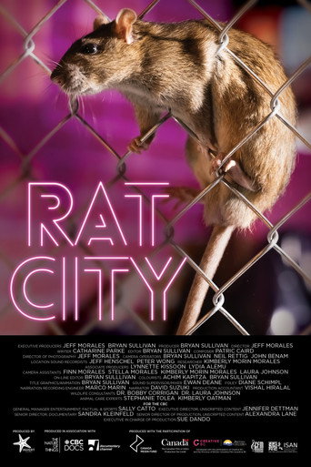 Rat City movie poster
