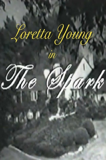 The Spark movie poster