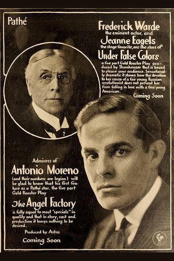 Under False Colors movie poster