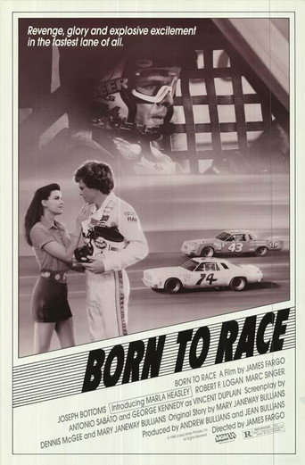 Born to Race movie poster