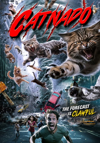 Catnado movie poster