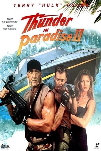 Thunder in Paradise 2 movie poster