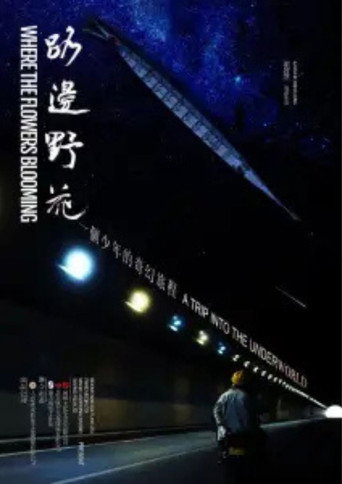 Where The Flowers Blooming movie poster