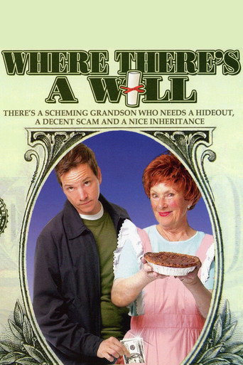 Where There's a Will movie poster
