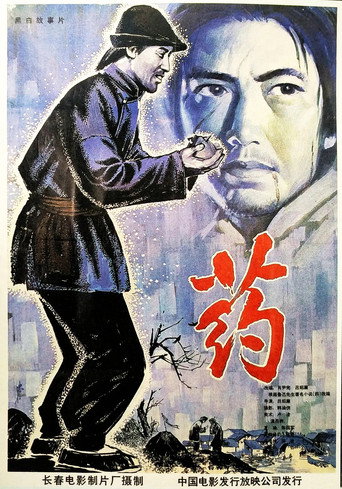 Medicine movie poster