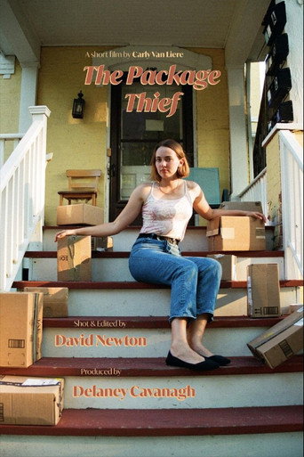 The Package Thief movie poster