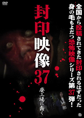 Sealed Video 37: Wriggle in an Abandoned Factory movie poster