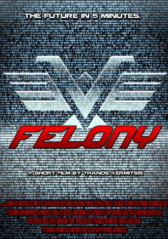 Felony movie poster