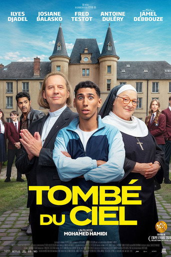 Tombé du ciel movie poster