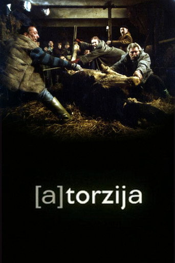 (A)Torsion movie poster
