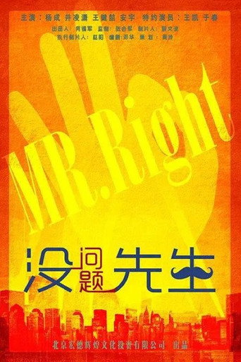 没问题先生 movie poster