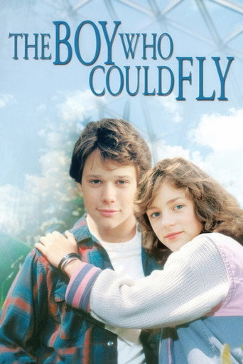 The Boy Who Could Fly movie poster