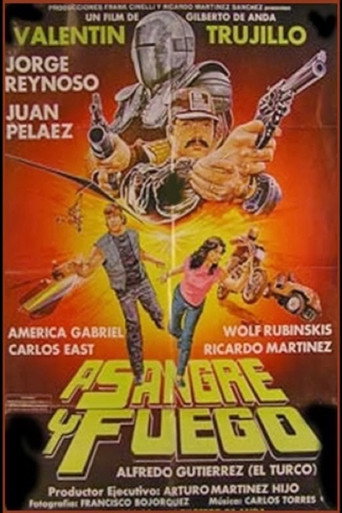 By Fire And Sword movie poster