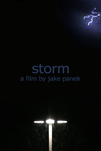 storm movie poster