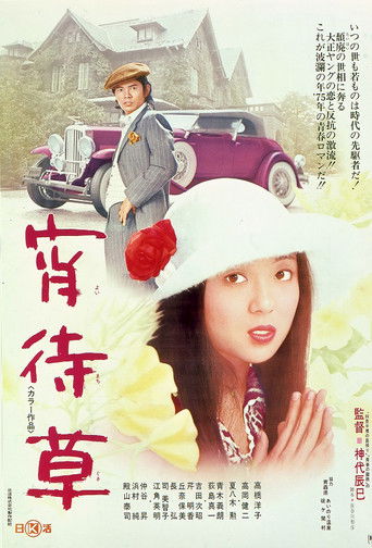 Evening Primrose movie poster