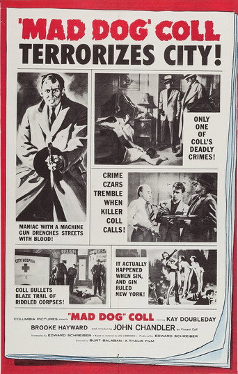 Mad Dog Coll movie poster