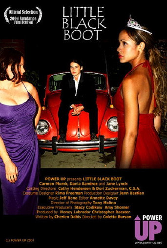 Little Black Boot movie poster