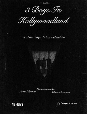 3 Boys In Hollywoodland movie poster