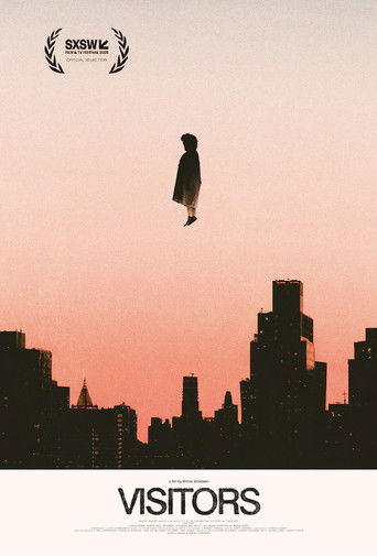 Visitors movie poster