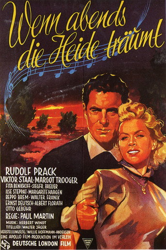 When the Heath Dreams at Night movie poster