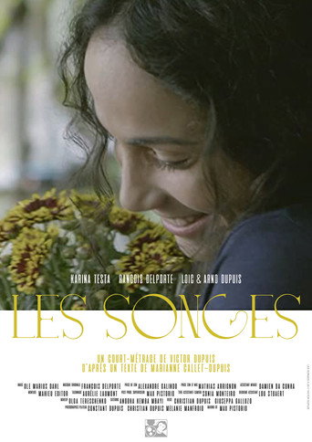 The Dreams movie poster
