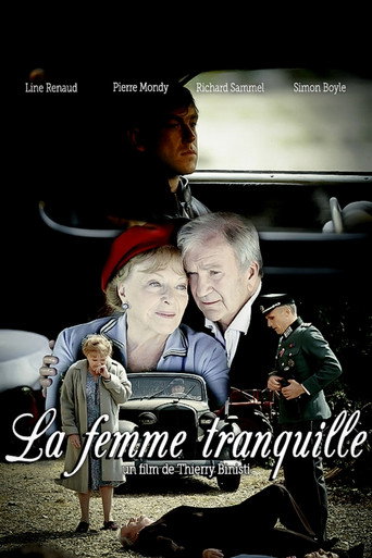 Fallen from the Sky movie poster