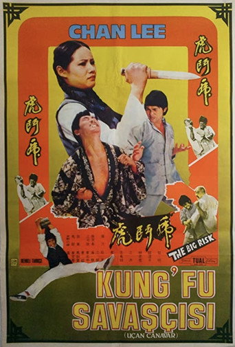 Kung Fu Conspiracy movie poster