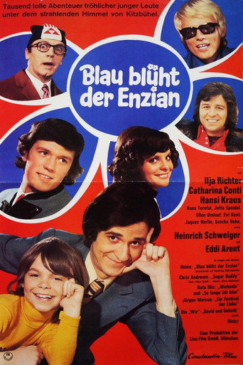 Blau blüht der Enzian movie poster