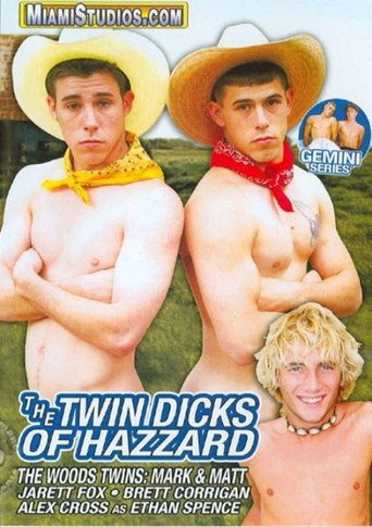 The Twin Dicks Of Hazzard movie poster
