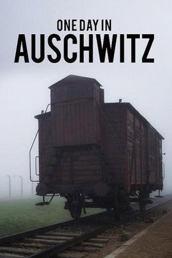 Auschwitz - One Day movie poster