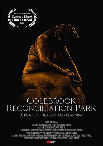 Colebrook: A Place of Healing & Learning movie poster