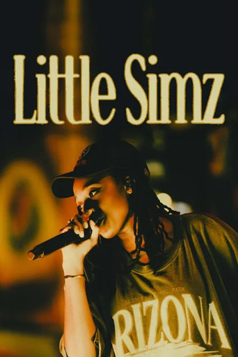 Little Simz at the Atelier des Lumières movie poster