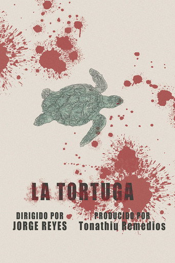 The Turtle movie poster