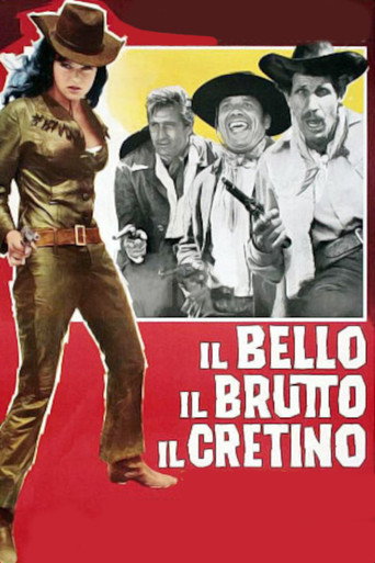 The Handsome, The Ugly, And The Stupid movie poster