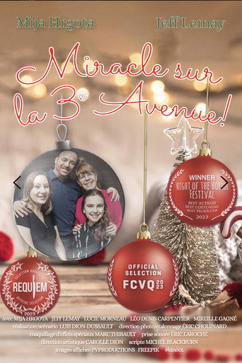 Miracle on 3rd Avenue! movie poster