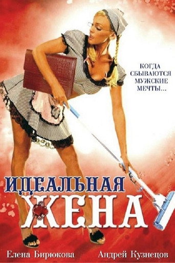 The Perfect Wife movie poster