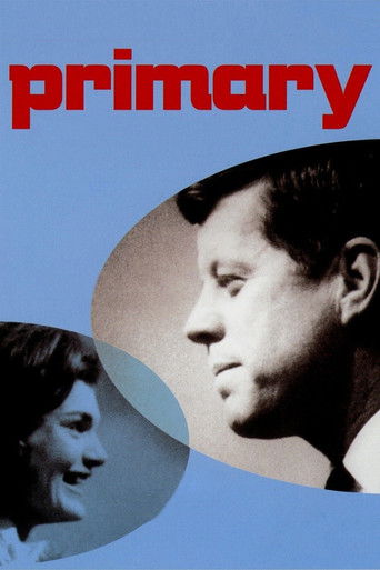 Primary movie poster