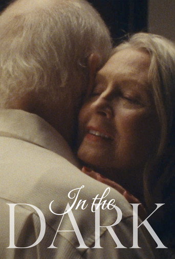 In The Dark movie poster