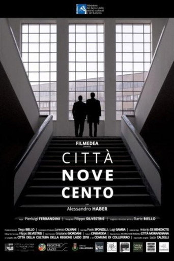 The 20th Century New Town movie poster