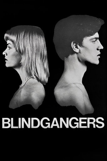 Blind Spot movie poster