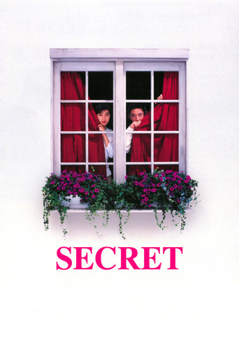 Secret movie poster