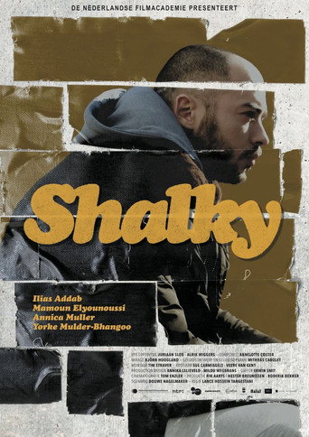 Shalky movie poster