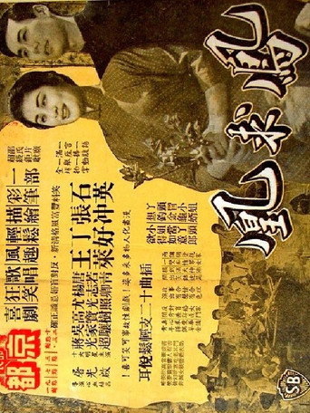 Where Is My Bride? movie poster