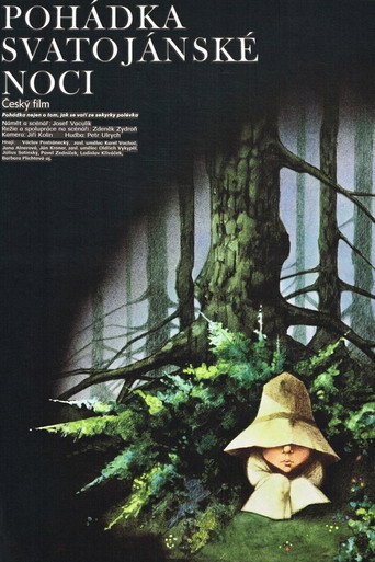 Pohádka svatojánské noci movie poster
