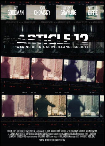Article 12 movie poster