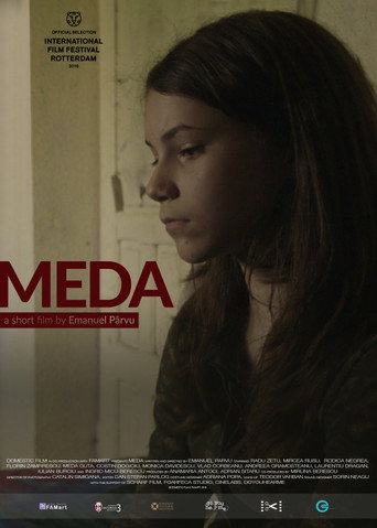 Meda movie poster