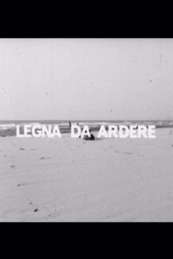 Legna da ardere movie poster