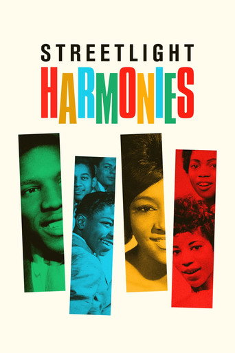 Streetlight Harmonies movie poster