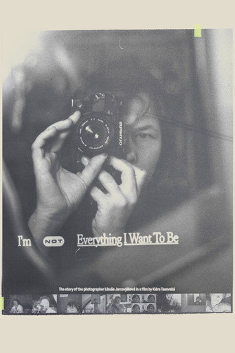 I'm Not Everything I Want to Be movie poster